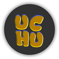 ijin logo